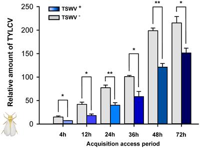 Persistently Transmitted Viruses Restrict the Transmission of Other Viruses by Affecting Their Vectors